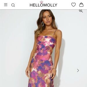 Hello Molly Pink and Purple Floral Maxi Dress